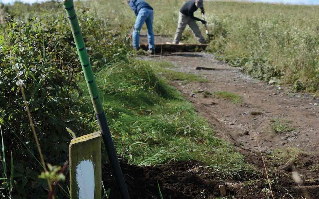 Transformation on trail: Volunteers converge to secure Max Patch’s future