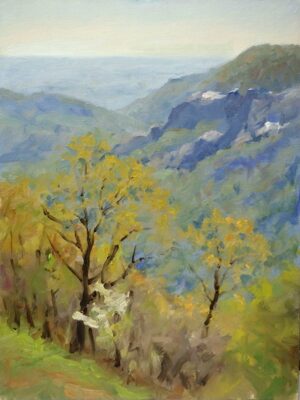 Hickory Nut Gorge Mornin by Rich Nelson