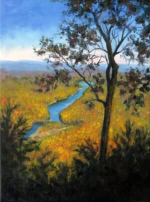 Lake Lure from Chimney Rock by Vicki Van Vynct