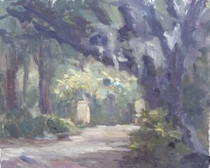 In the Shade by Amy Evans